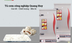 Tủ cơm công nghiệp Quang Huy chất lượng cao. tủ hấp cơm công nghiệp