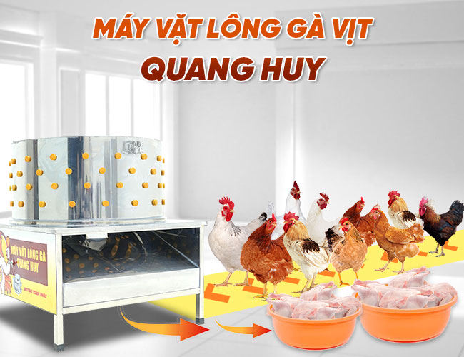 máy vặt lông gà Quang Huy
